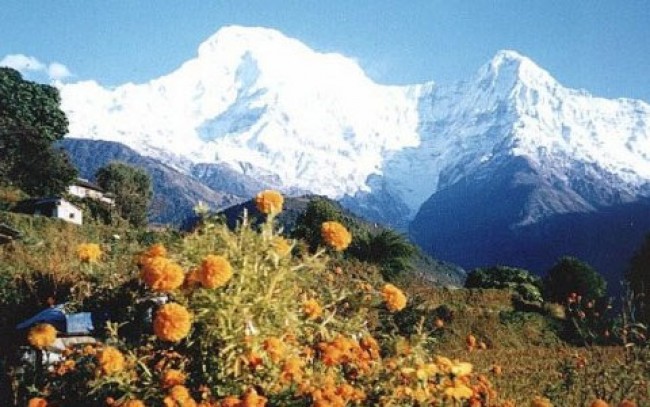 Book Annapurna Himalayan Highlights (Family Trekking)